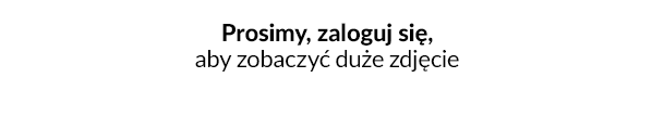 podglad cen